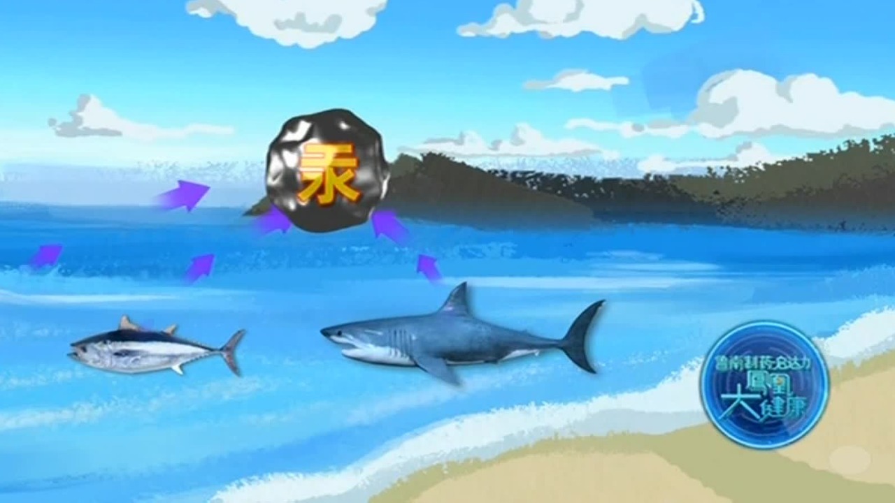 这几种鱼尽量少吃，重金属汞含量可能超标