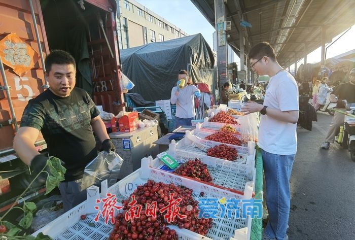 “果盘子”上新啦！济南樱桃集中上市，价格亲民美味诱人