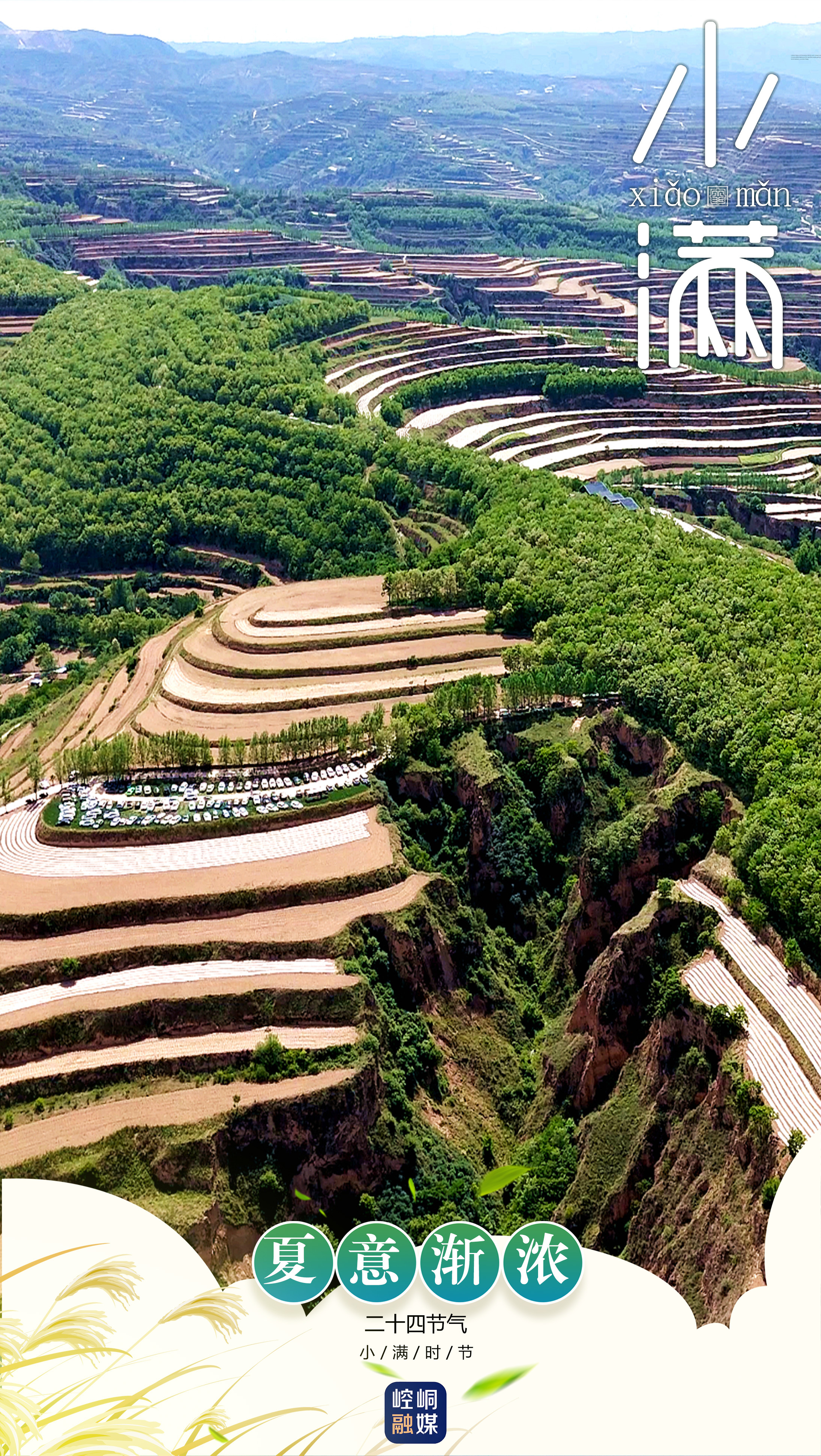 小满3.jpg