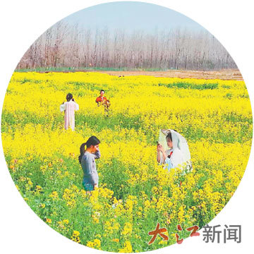 南昌市东湖区扬子洲“金花节”带动了周边人气。