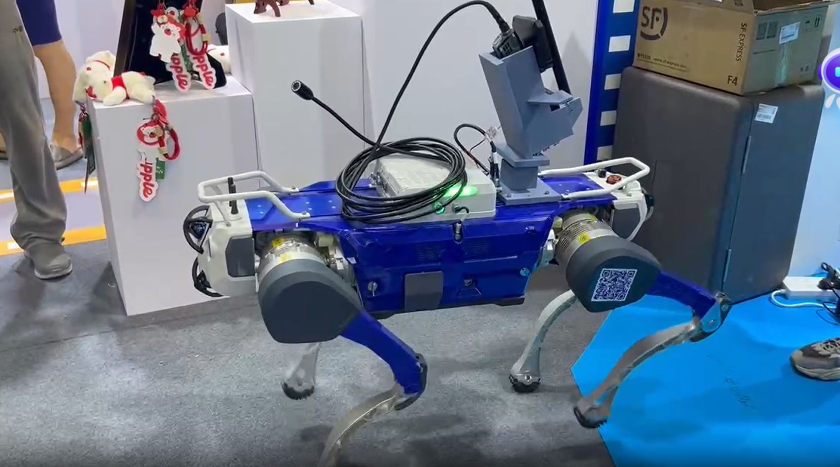 山东展区“一日游”，“种草”这些文博“顶流”……