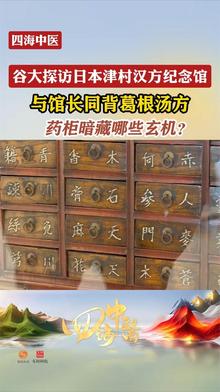 谷大白话与日本津村汉方纪念馆长同背葛根汤方，药柜暗藏哪些玄机