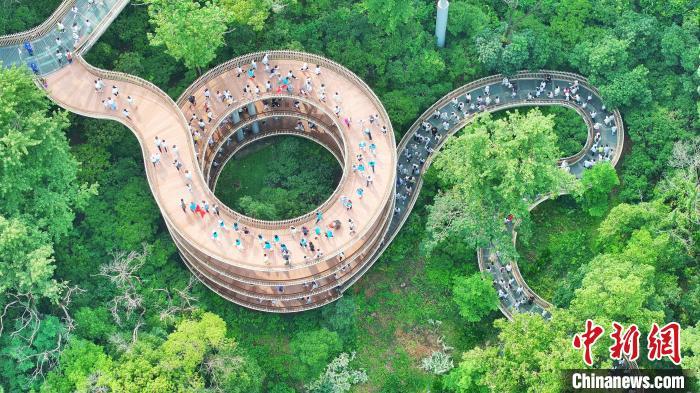 在磨盘山森林公园徒步的选手。　活动组委会供图