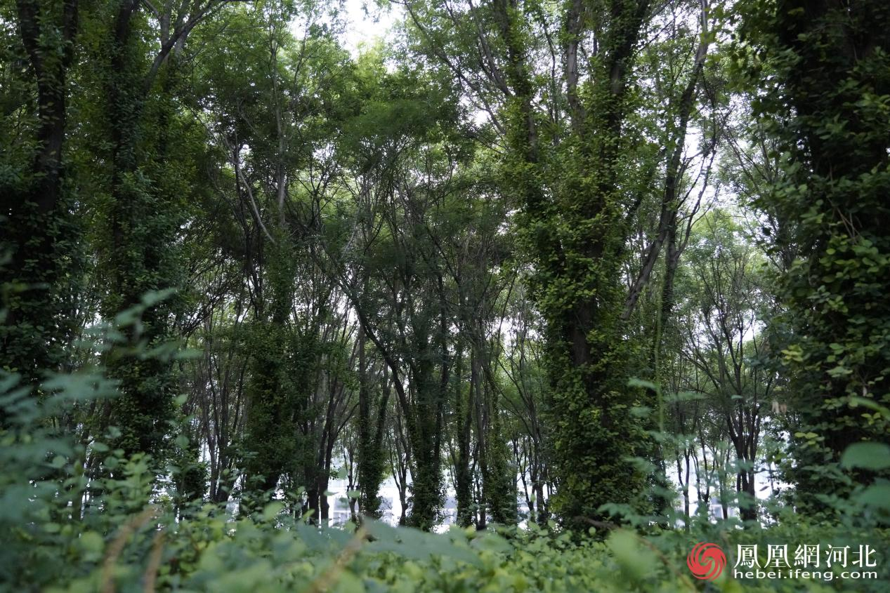 石津灌渠文化公园内场景