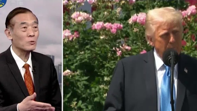 特朗普与普京泽连斯基接连通话，目的何在？