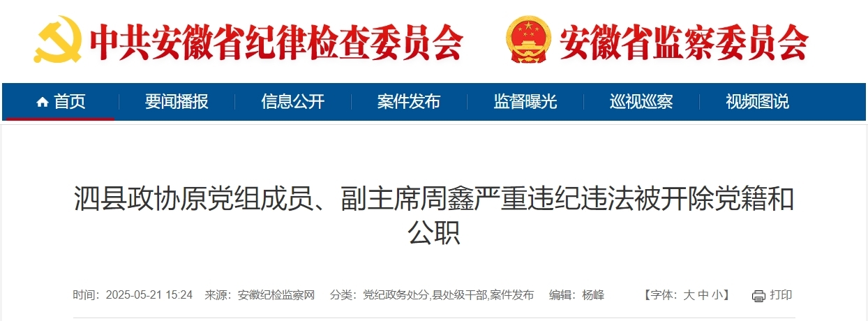 安徽2市纪委监委通报！周鑫、刘国宏被“双开”