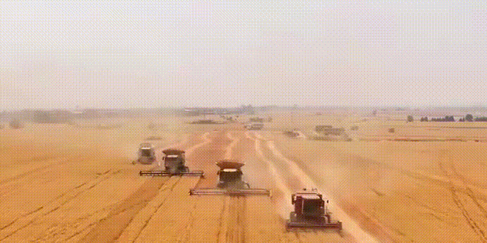 河南跨区收割机手：老年人最爱看麦收直播，有人连续看12个小时