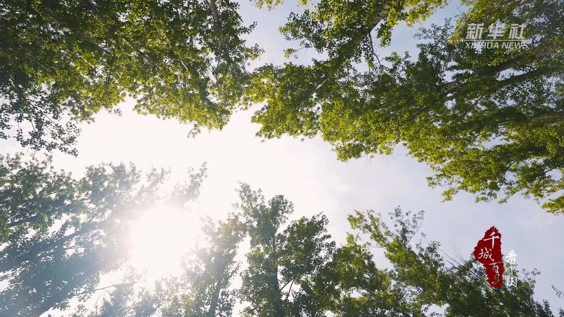 千城百县看中国｜内蒙古：邂逅城市里的露营地