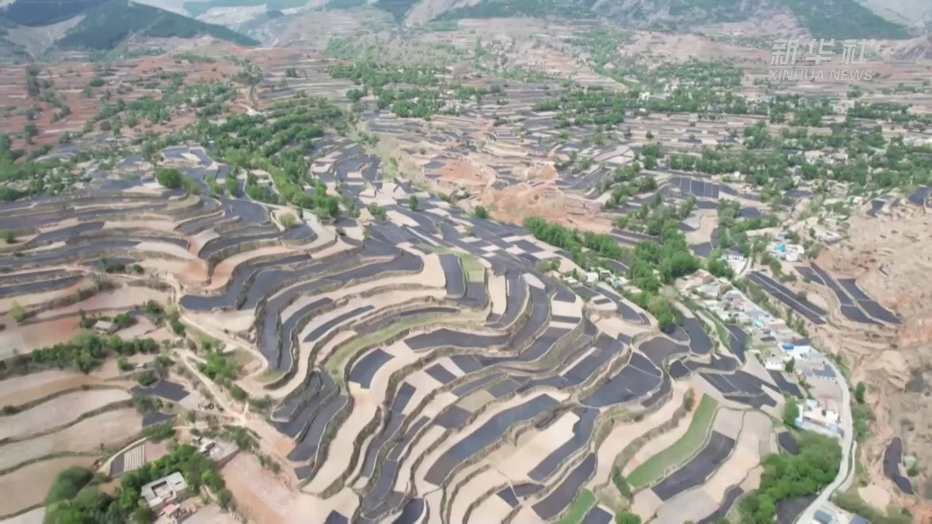 甘肃定西多措并举保灌抗旱