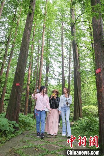 5月16日,江西庐山,外籍网络达人在中国科学院庐山植物园拍摄视频素材。中新社记者 刘力鑫 摄