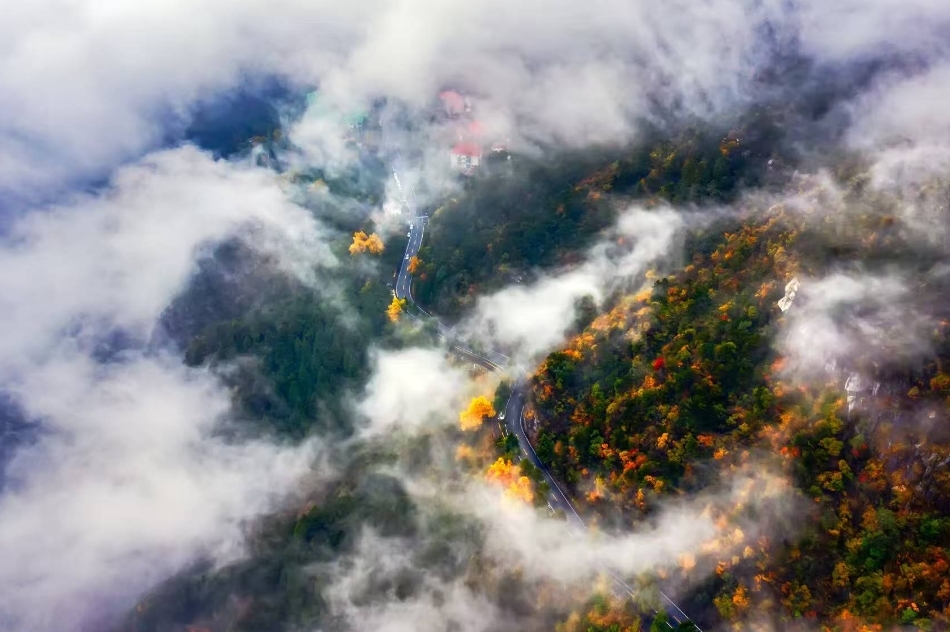 庐山登山公路获评“2025年度交通与旅游融合创新项目”