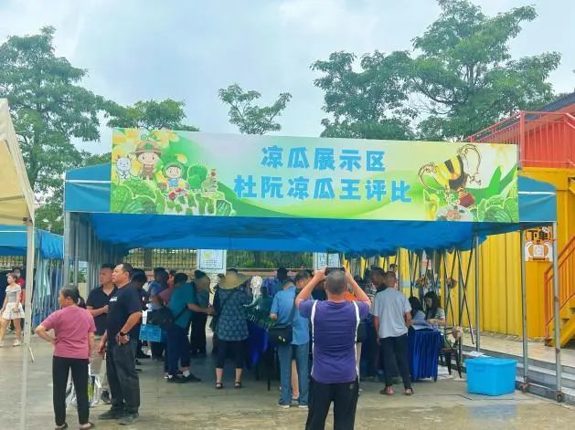 土特产赋能“百千万工程” 杜阮凉瓜美食文化旅游系列活动圆满收官