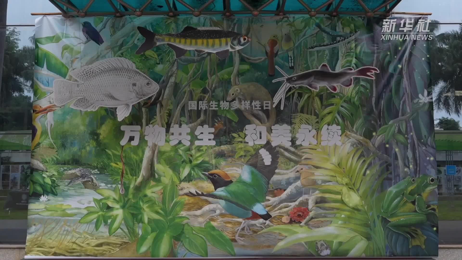 中国首个热带生物多样性数字平台上线