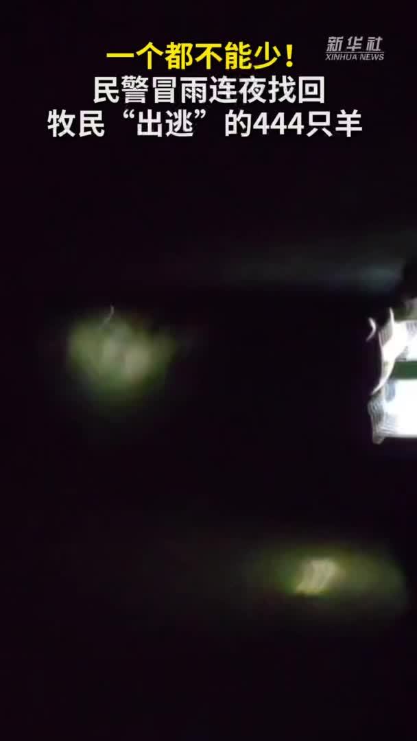 秀我中国｜一个都不能少！民警冒雨连夜找回牧民“出逃”的444只羊