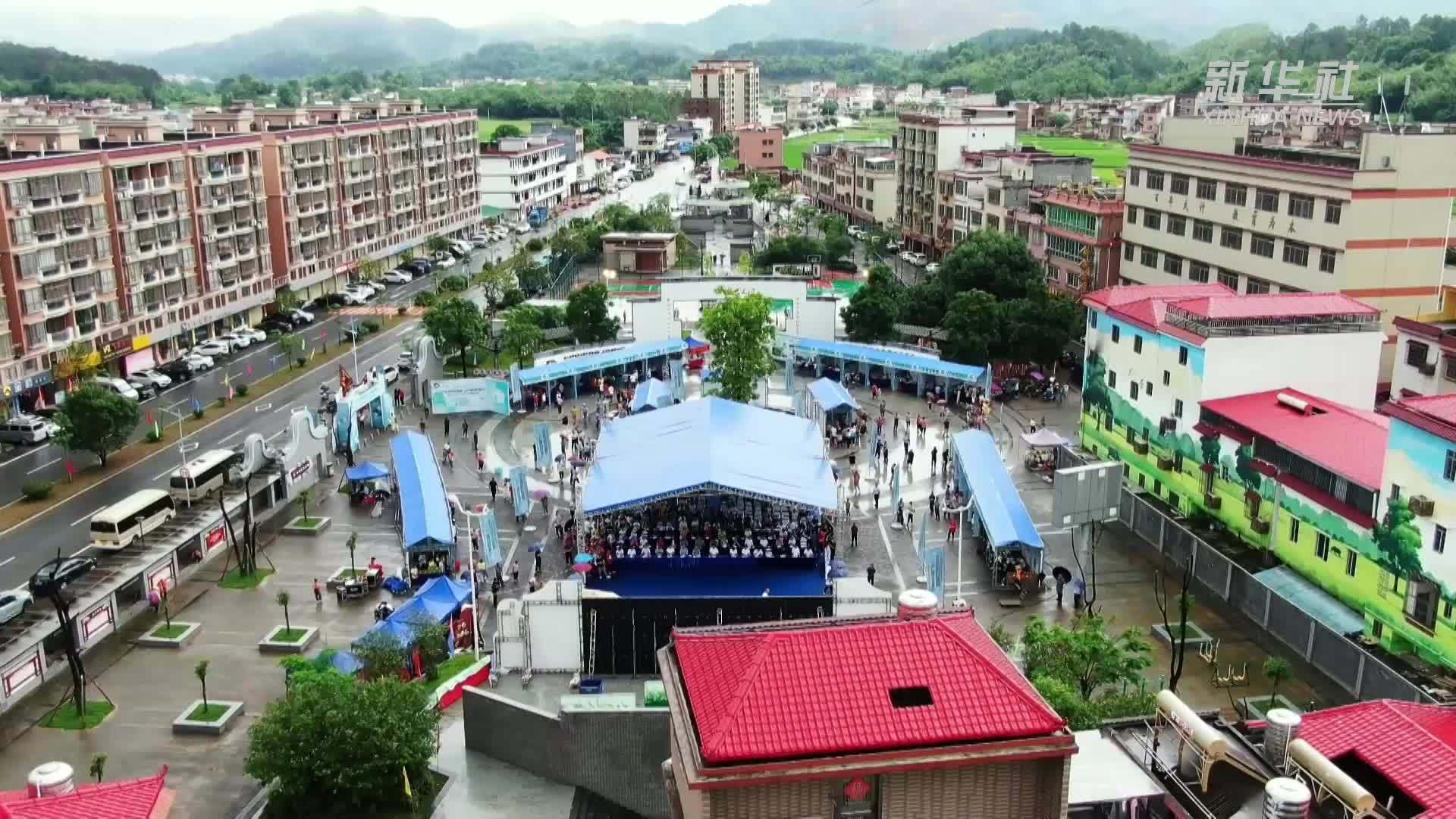 广东广宁：以茶为媒推动三产融合促乡村振兴