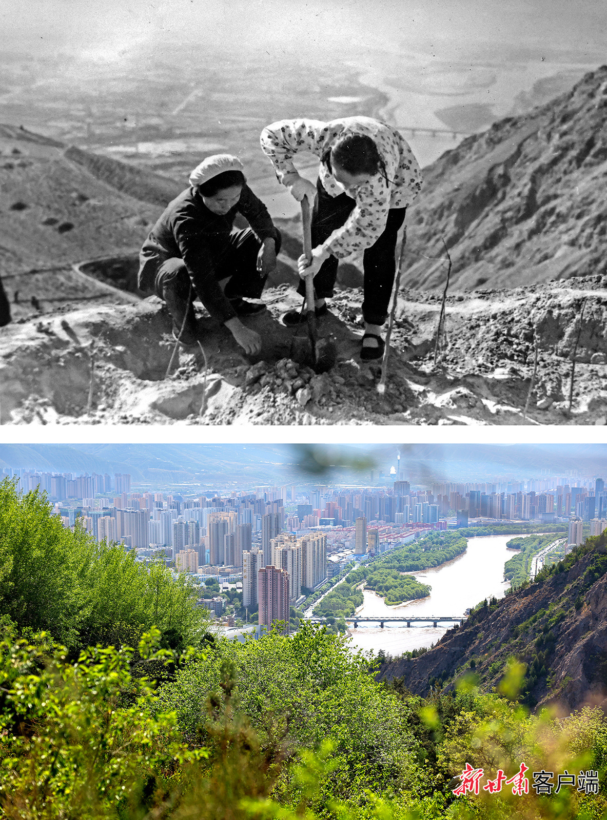上图：1959年11月，兰州市城关区副食厂职工在北山九州台栽树。甘肃日报记者刘奇摄；下图：2025年5月15日，兰州市安宁区九州台绿意盎然，草木葱茏。新甘肃·甘肃日报记者冯乐凯摄。