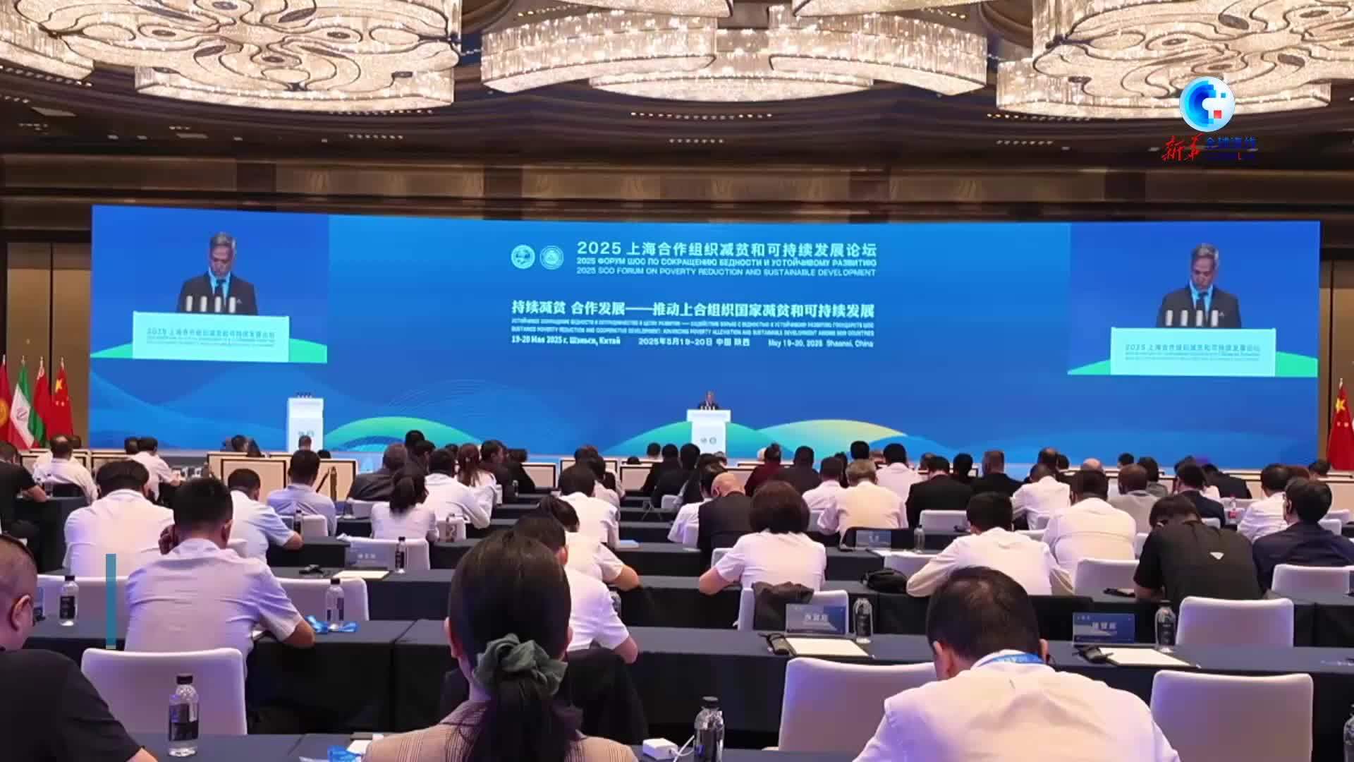 全球连线｜中国减贫经验惠及上合组织国家