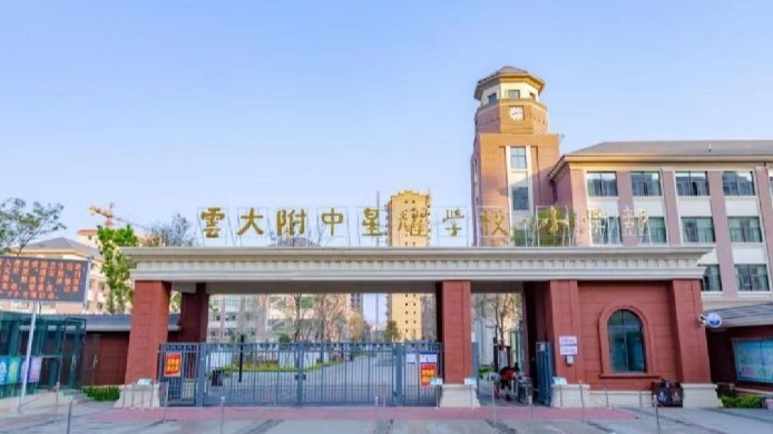 小区业主反映二孩无法及时入读配套小学，校方曾明确“每套房产六年一个学位”