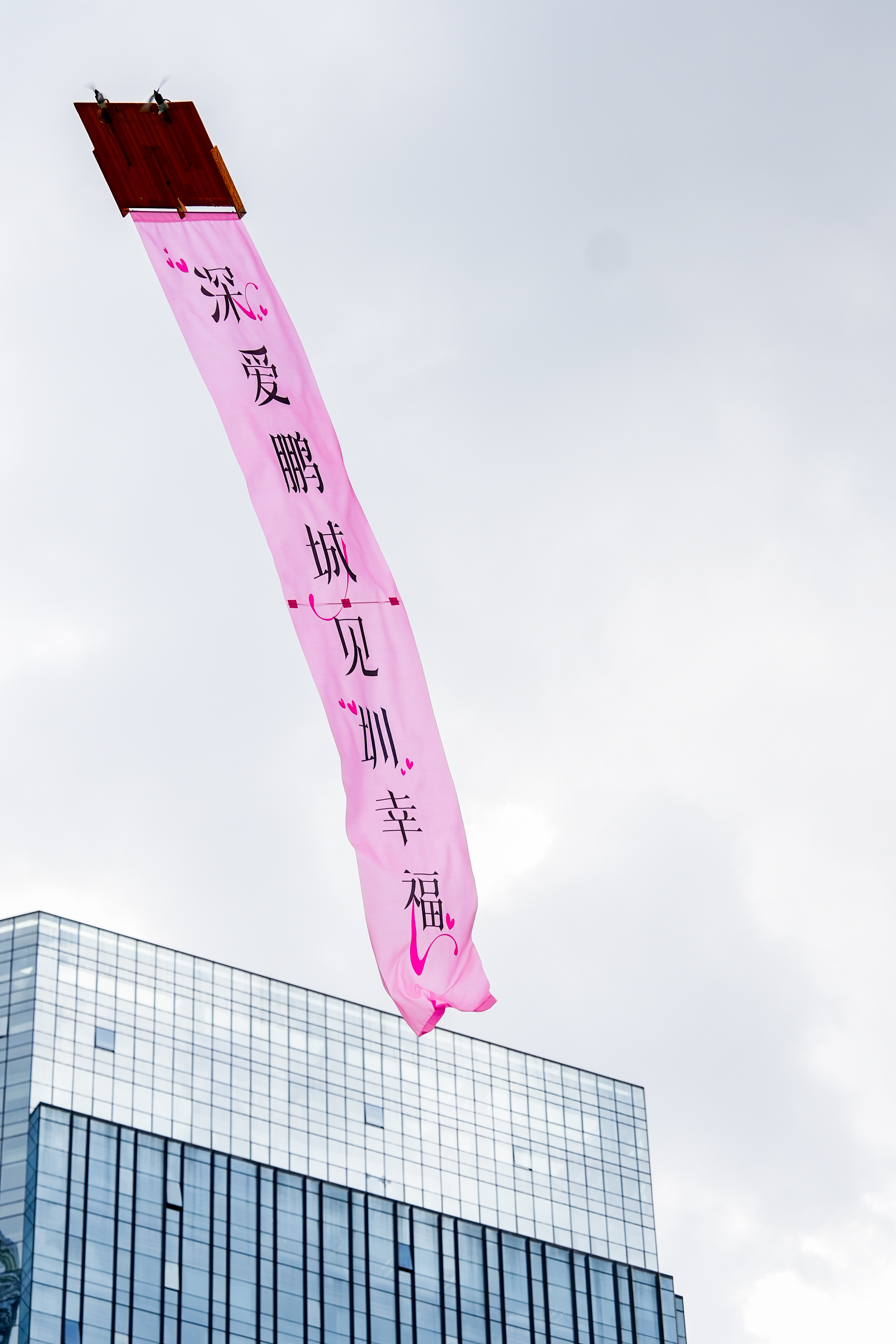 “湾区同心·爱有意思”甜蜜月主题活动浪漫开启  共赴湾区甜蜜之约