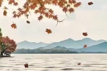 《银针传奇》——茶道守望“神话”的绝唱