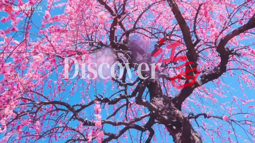 5月19日中国旅游日，邀你游遍赣鄱大地！