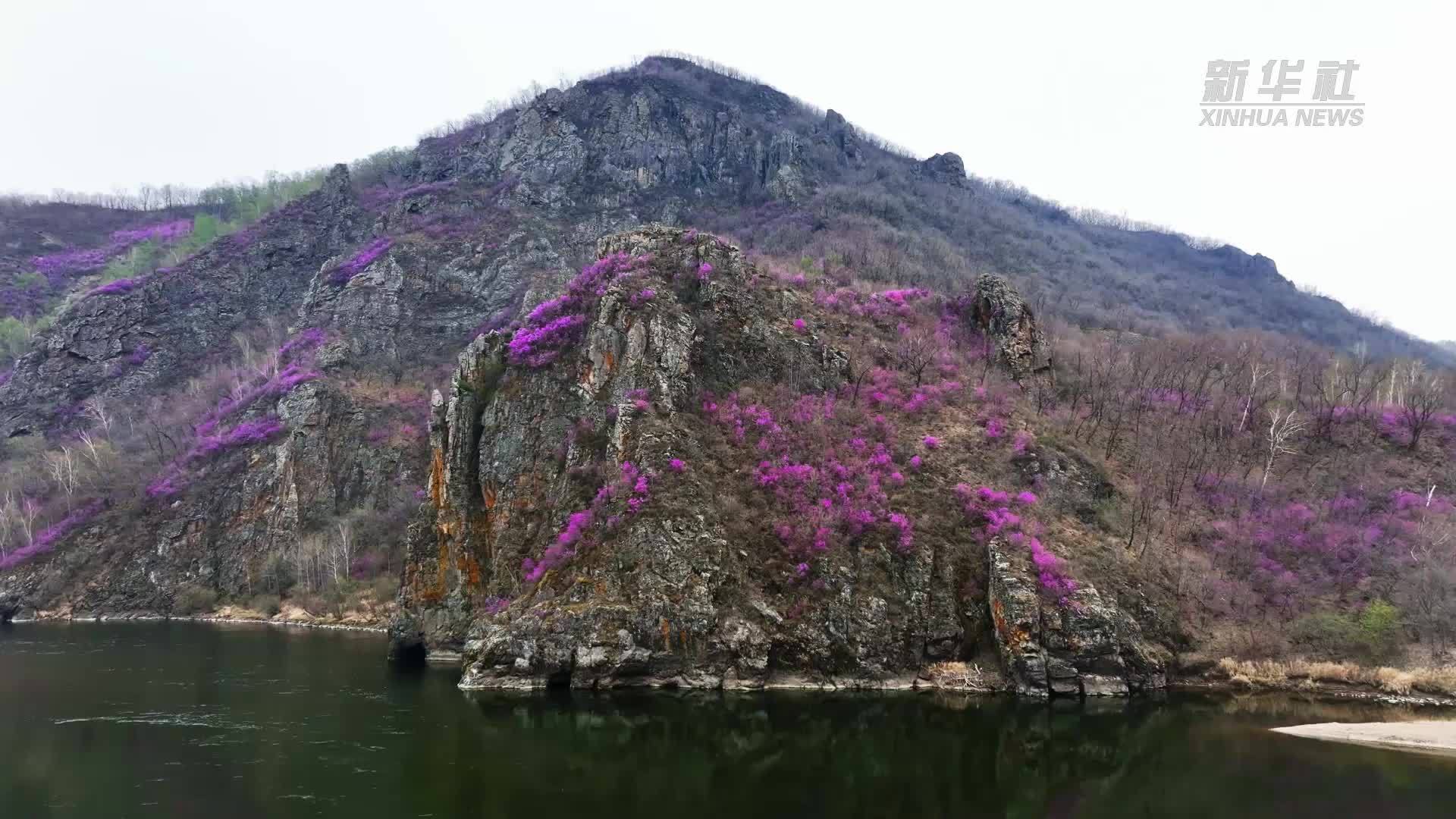 千城胜景｜峭壁花海尽显大自然奇美