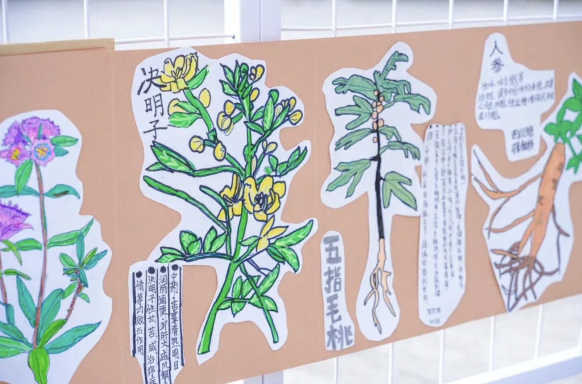 深圳市龙岗区外国语学校（集团）爱联小学打造"无边界美育课堂"：青铜文明与家校共育的浪漫交响