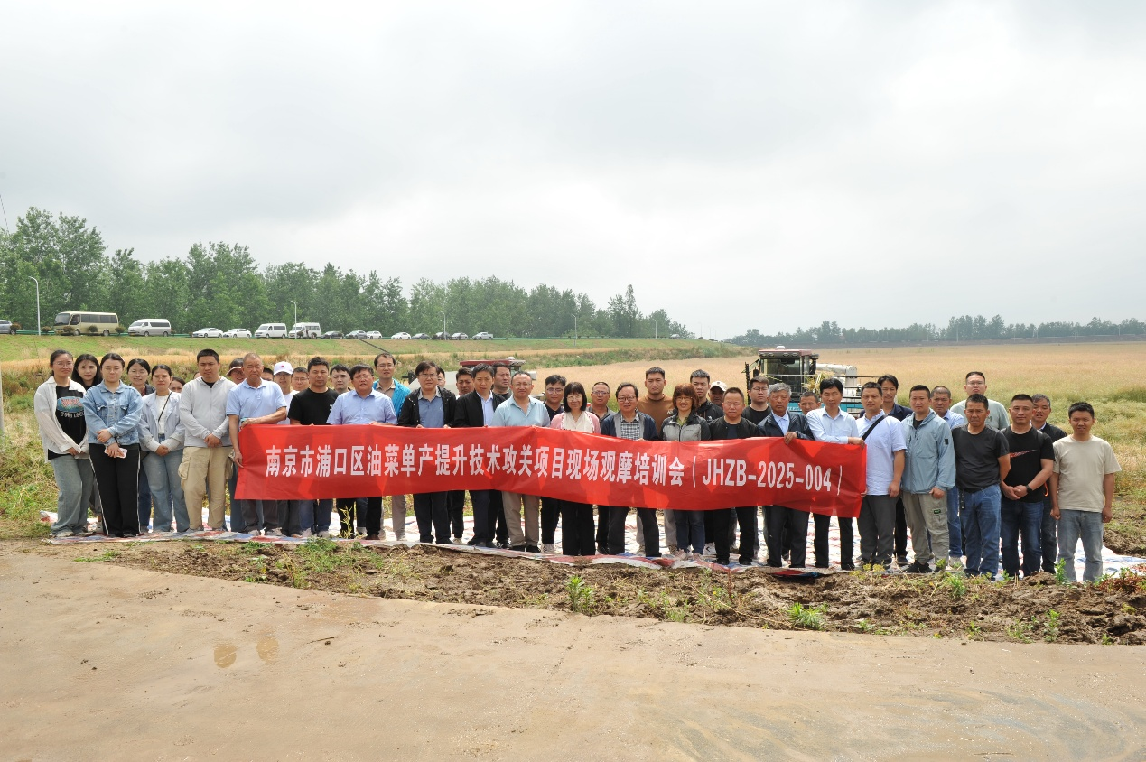 南京市浦口区油菜单产提升技术攻关项目现场观摩培训会圆满召开