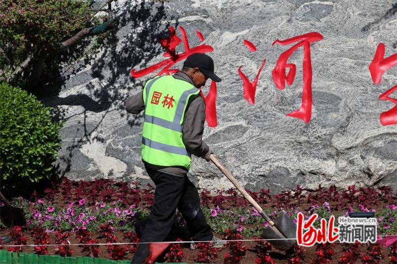 园林中心工作人员在戴河生态园进行植被养护。