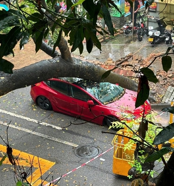 陶琳:特斯拉的安全经受住了各种实战考验