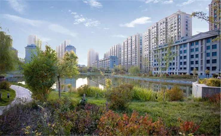 穷途末路的芯片教父,以巨贪14亿收场