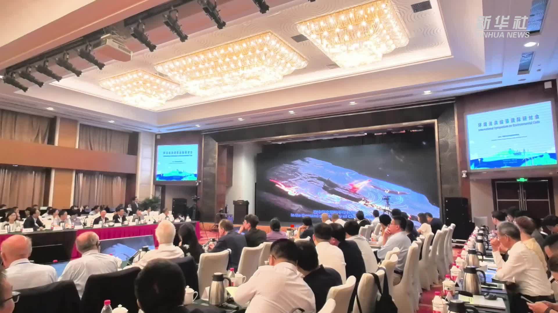 中外专家共话环境法典编纂原则与实践