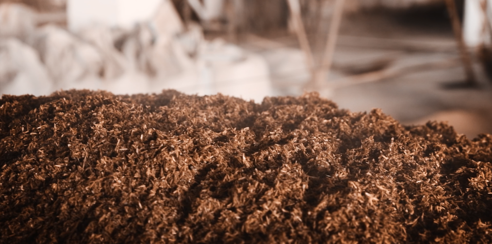 ▲ 粮食“出窖”还冒着丝丝热气