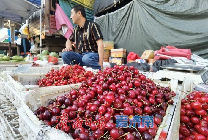 “果盘子”上新啦！济南樱桃集中上市，价格亲民美味诱人