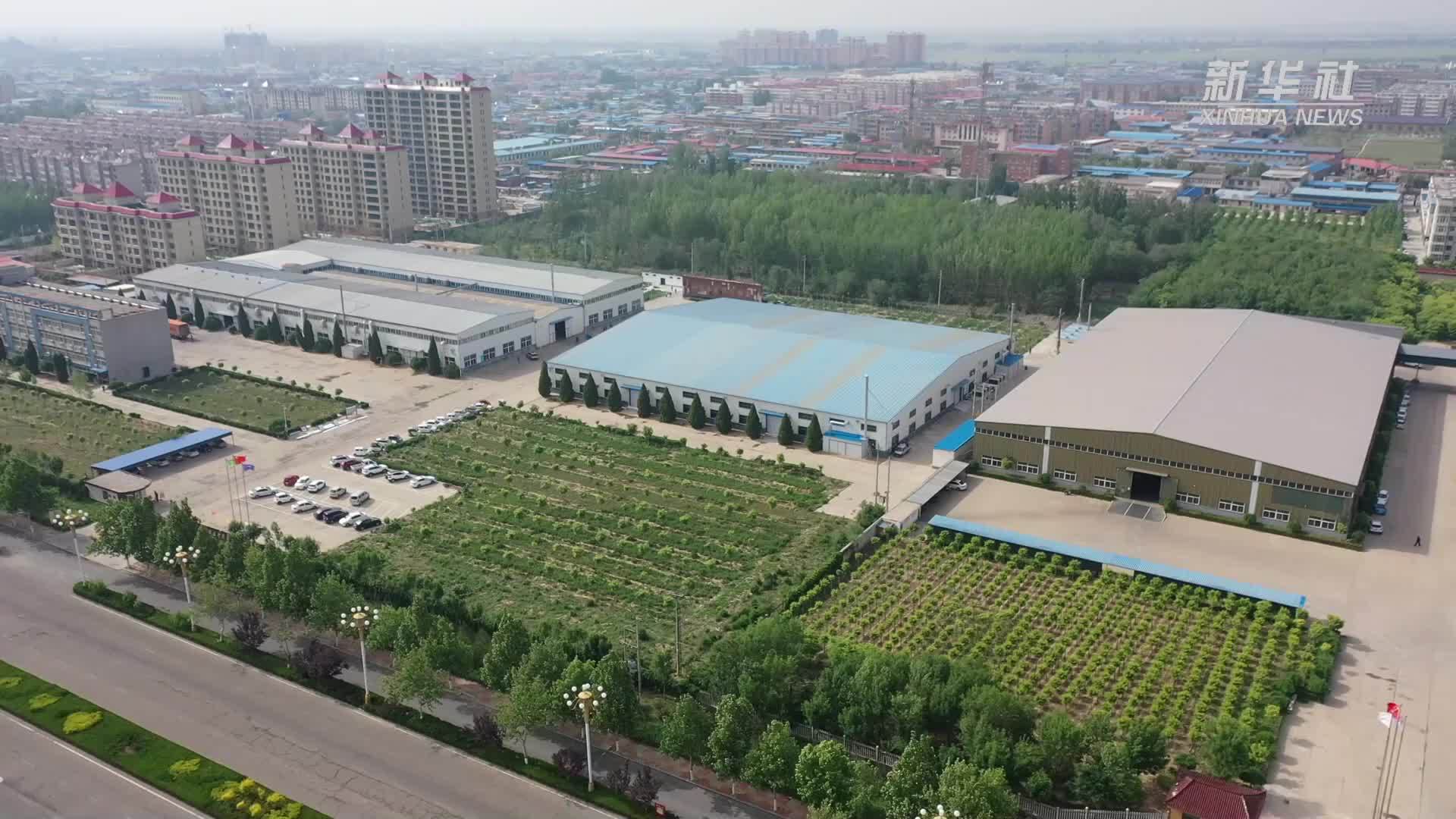 河北新河：加快培育壮大眼镜盒产业集群