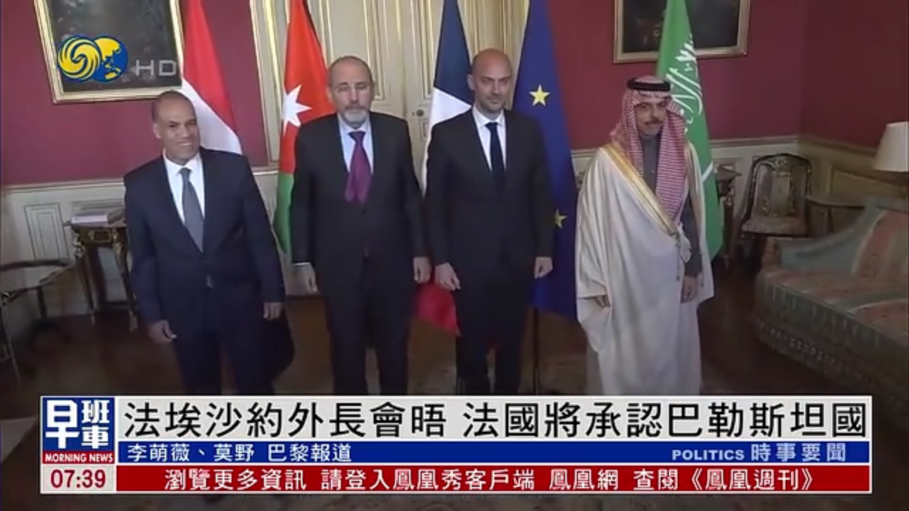 法国埃及沙特约旦外长会晤 法国将承认巴勒斯坦国