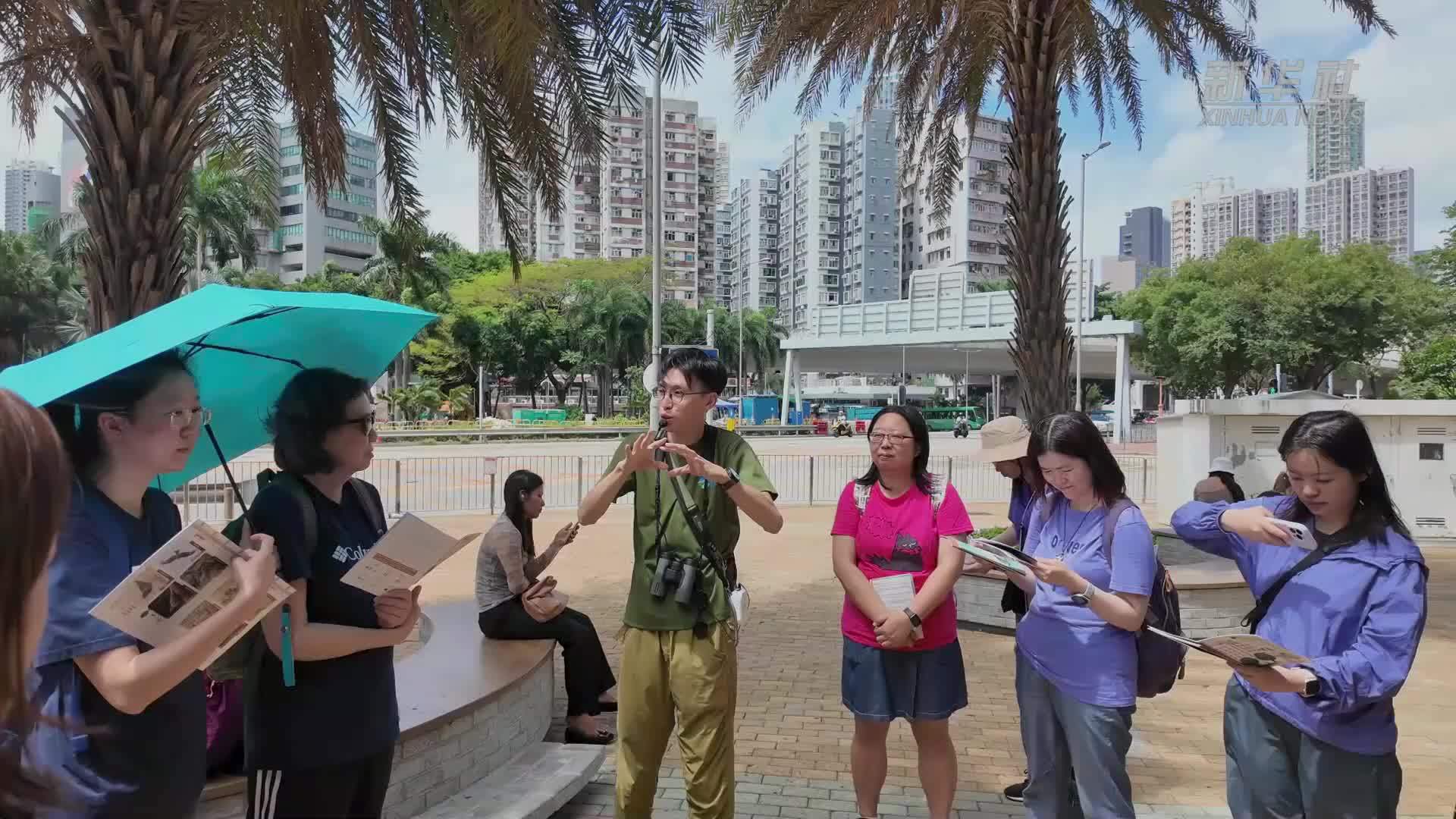 香港“城鸟游踪写生工作坊”带公众认识“鸟邻居”