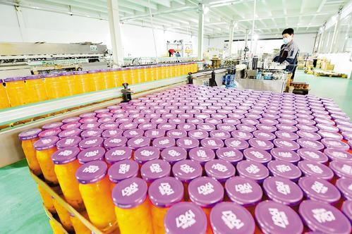 4月20日，河北华泉食品有限公司生产车间，工人正在生产水果罐头。 张晓峰摄