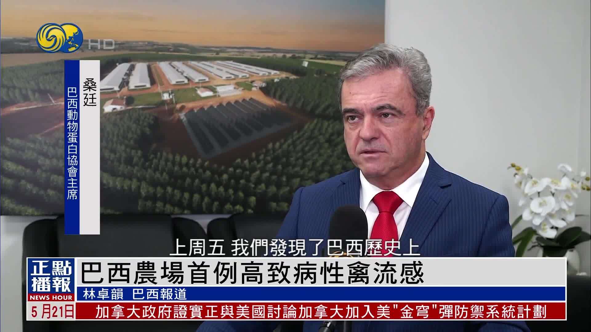 巴西农场出现首例高致病性禽流感