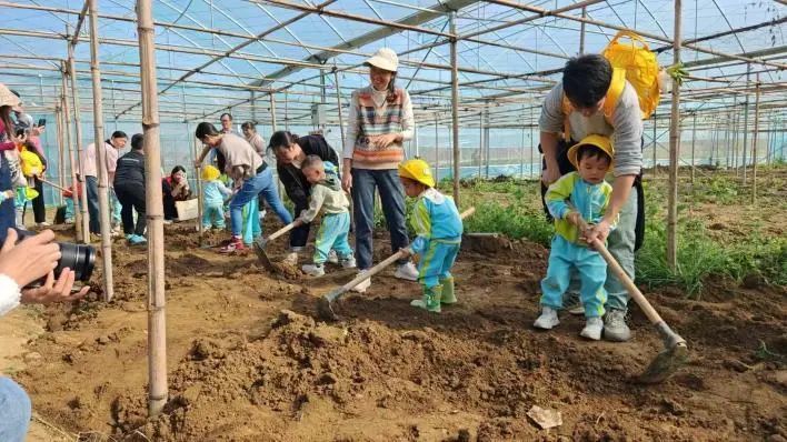 土特产赋能“百千万工程” 杜阮凉瓜美食文化旅游系列活动圆满收官