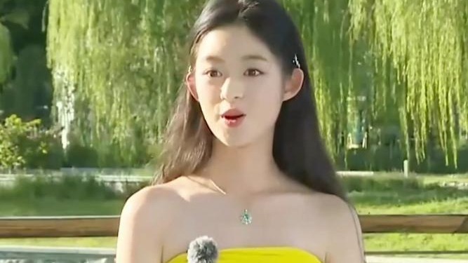 黄杨钿甜父亲涉嫌违规经营、在职期间生二孩，会如何处罚？