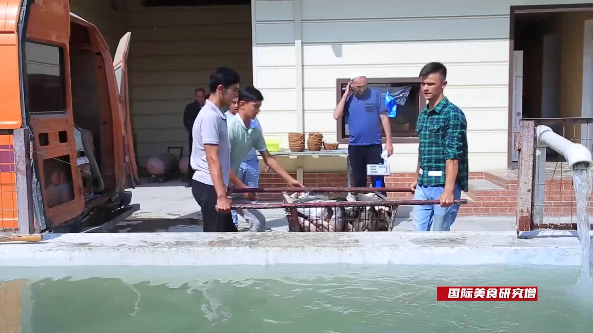 乌兹别克斯坦人不吃牛羊肉，改吃最便宜的鲢鱼，吃法简单粗暴的很