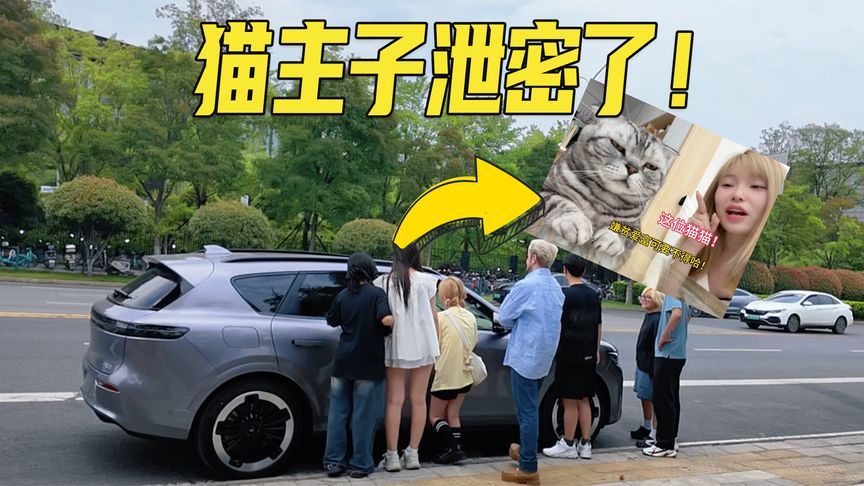 岚图FREE+的内饰居然被一只猫主子泄密了