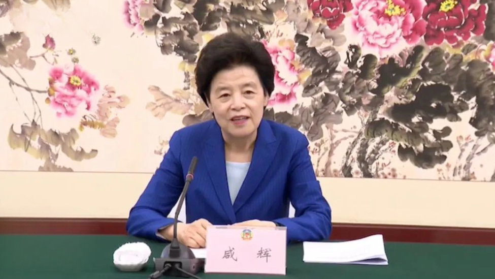 全国政协副主席咸辉率队赴重庆专题调研4天