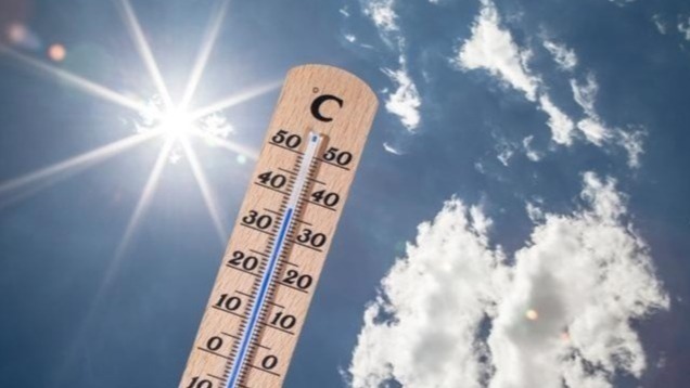 真正的夏天即将开启！今起三天重庆最高温可达39℃