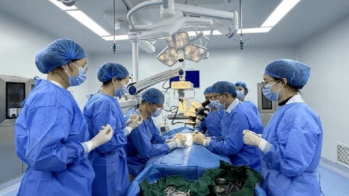 宠物界惊现“缅北嘎腰子”？三天速成“猫肾移植手术”引争议