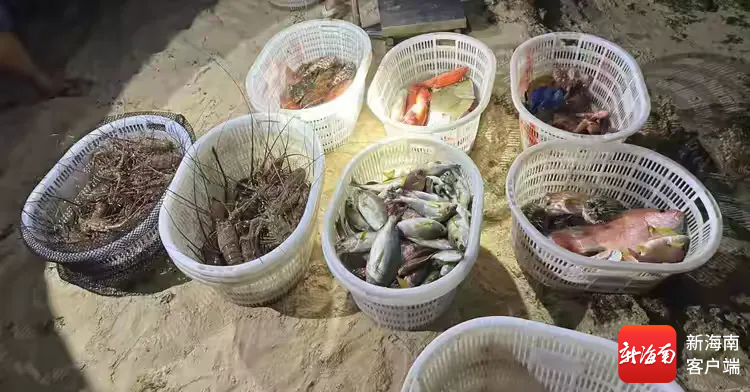 查获的渔获物