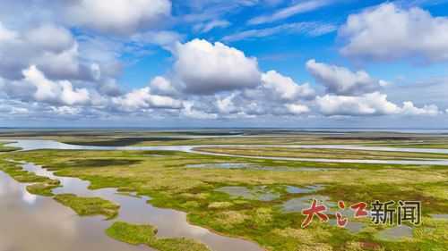 鄱阳湖湖区。大江网视觉江西 王辉摄