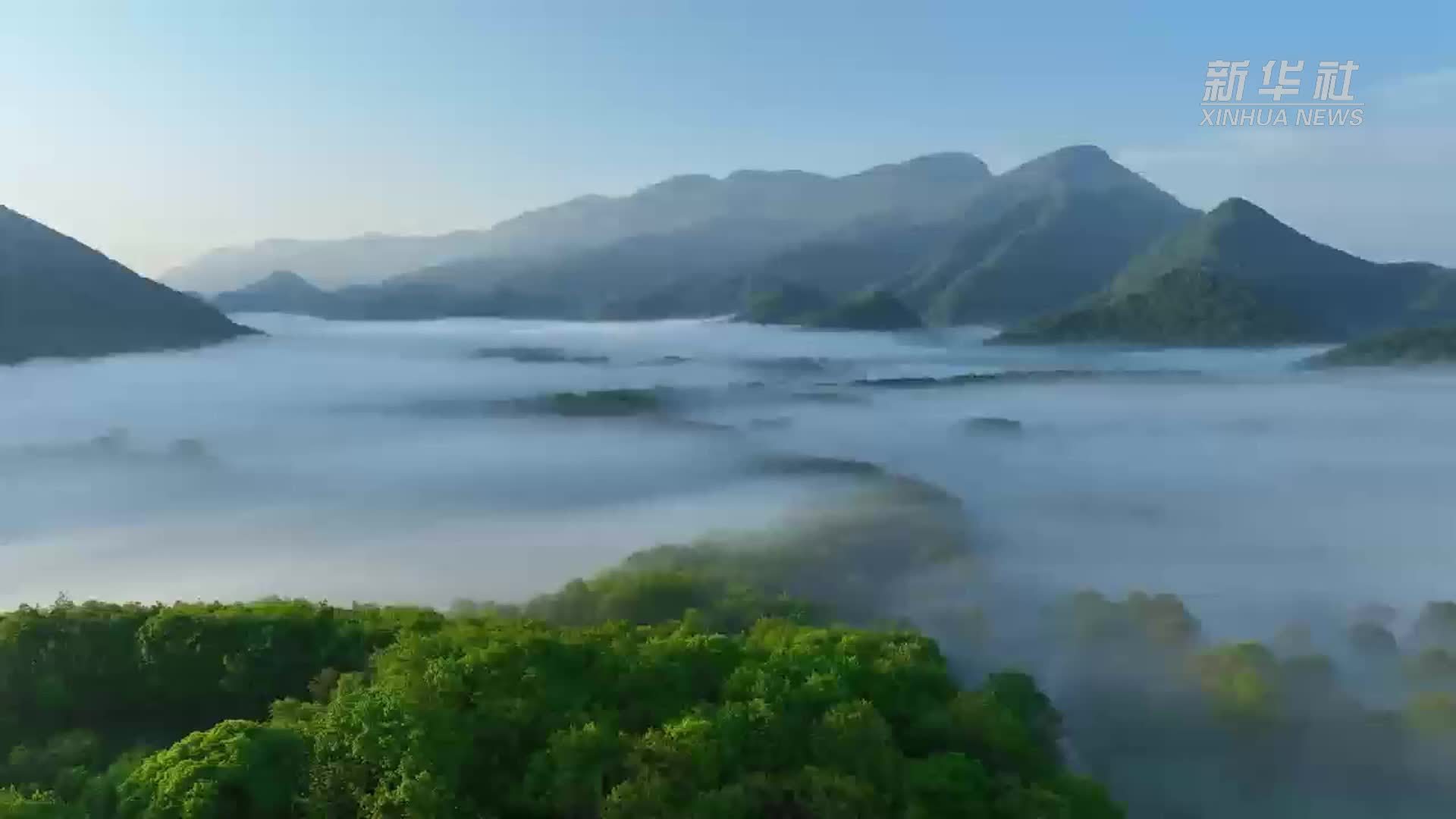 湖北神农架：九湖晨雾起 轻纱映海棠