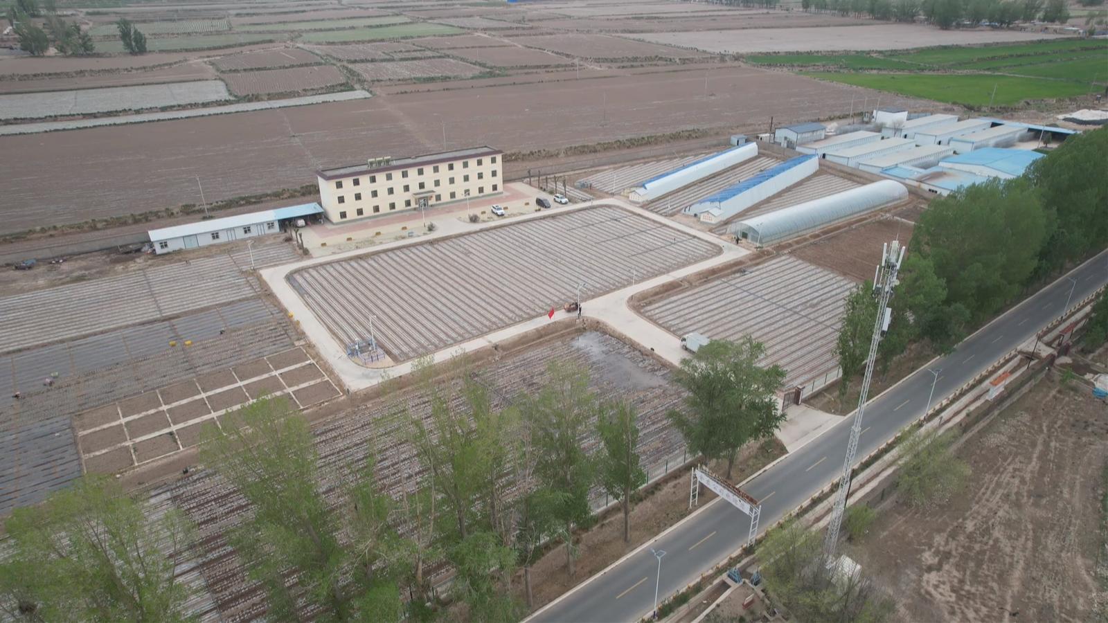 院地合作绘“粮”辰美景　永昌农业尽显科技范